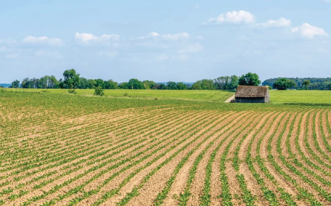 jual tanah pertanian johor